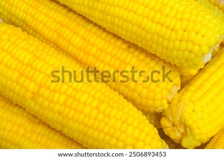 Similar – Image, Stock Photo Many corn on the cob