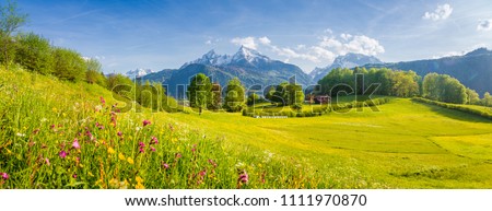 Similar – Image, Stock Photo Alpine meadow with yellow flowers in mountains