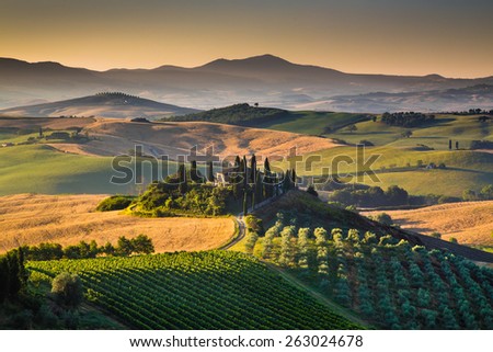 Scenic Tuscany landscape with rolling hills and valleys in golden morning light, Val d\'Orcia, Italy