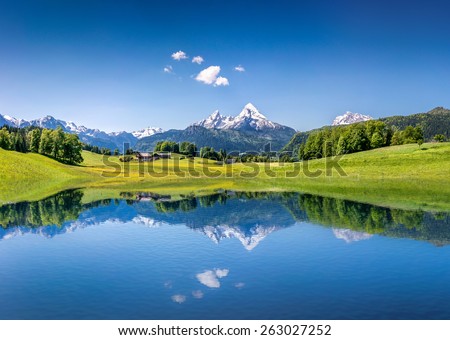 Similar – Foto Bild Grüne Felder in den Schweizer Alpen im Sommer auf dem Plateau der Schynige Platte