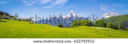 Foto Bild Grüne Felder in den Schweizer Alpen im Sommer auf dem Plateau der Schynige Platte