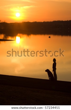 Dog and dog owner watching the sun set
