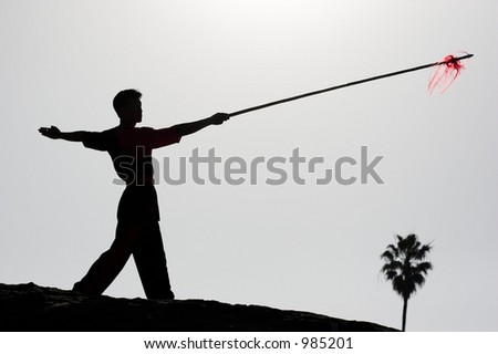 Chinese martial arts practitioner\'s silhouette (with spear)