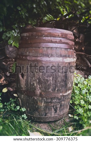 Old Whiskey Barrel. Rural summer scene with an old whiskey barrel.