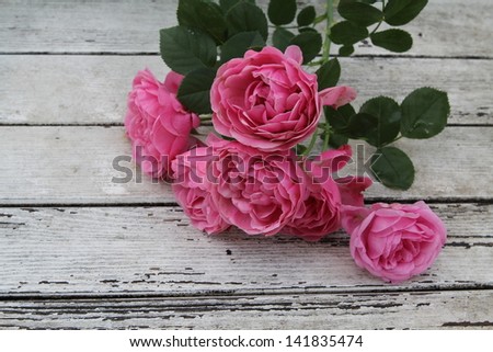 Pink roses  on an old  white  wooden desk