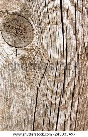 Grunge wood rough texture background with knot