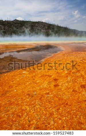 Colorful bacteria mat surrounding Grand Prismatic Spring, Midway Geyser Basin, Yellowstone National Park, Wyoming