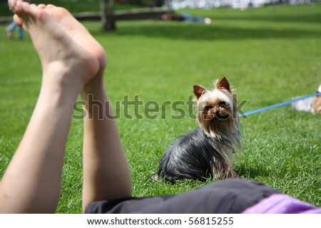 Dog watching woman on grass