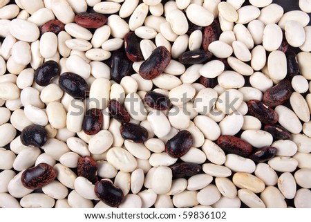 White and brown beans background