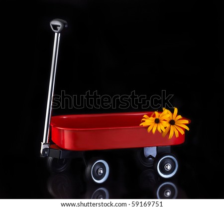 Little Red wagon with flowers