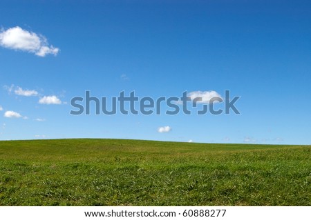 Green meadow with blue sky and clouds ready for your copy or background for your next project