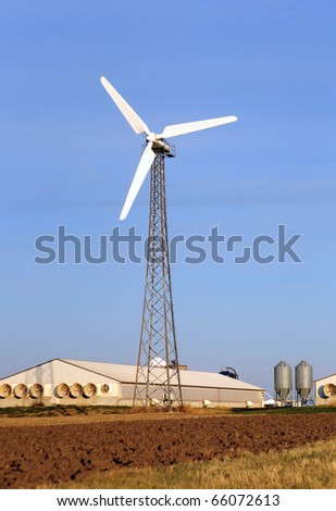 Wind turbine on a hog farm in Iowa