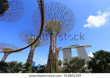 SINGAPORE-May 11: Day view of The Supertrees Grove at Gardens by the Bay on MAY 11, 2014 in Singapore. Spanning 101 hectares, and five-minute walk from Bayfront MRT Station