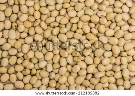 soy beans background