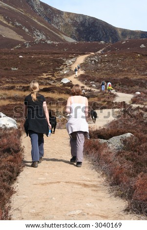two women walking in countryside with dogs