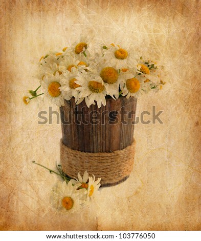 Bouquet of daisy in vintage style