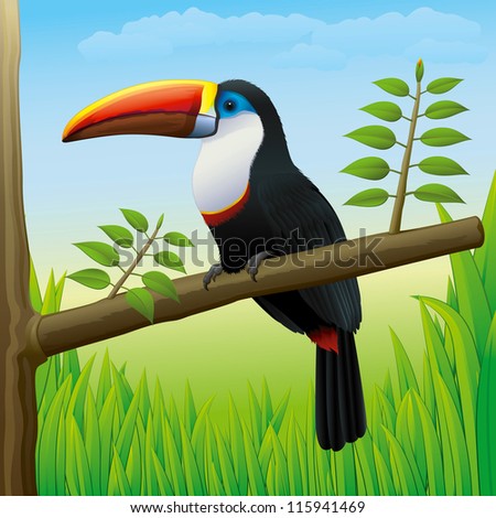 Toucan Bird Sitting on a Tree in Nature - High detailed Vector Gradients
