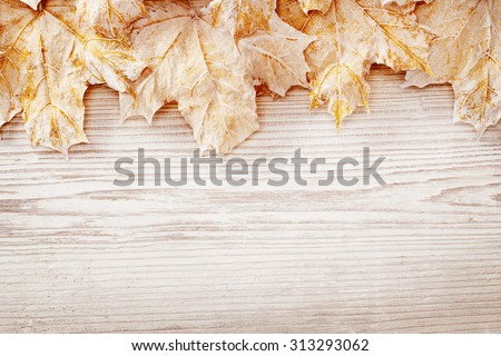 Wood Background White Leaves, Autumn Wooden Grain Board Texture, Decorated Leaf on Plank