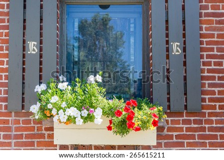 Red and white flowers in a window box whith shutters on brick wall