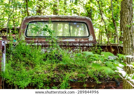 An old rusty pickup truck with a bed full of live weeds