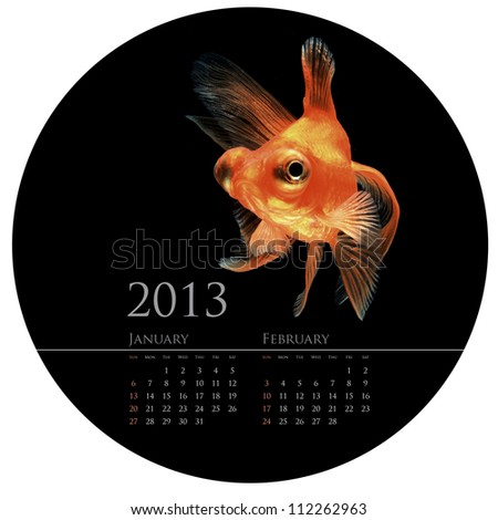 CALENDAR 2013 goldfish concept in round circle shape design
