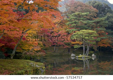 japanese zen garden in autumn in kyoto golden pavilion