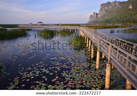 Lotus lake with the long wooden bridge.Thailand