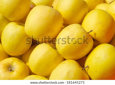 Yellow apples as background