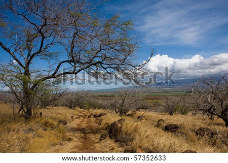 Hiking on the lahaina pali trail, Maui, Hawaii, under a bright sunny day. View of the Haleakala Volcano in the background.