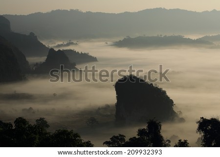 Phu Lanka , Phayao , Thailand , tree and mountain in morning mist waiting for sunrise