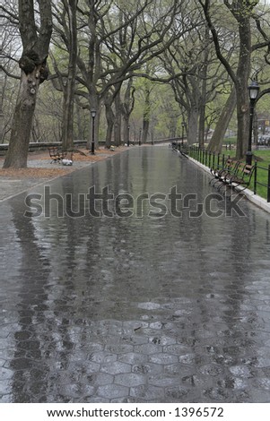 Paved alley in a park after the rain