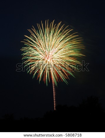 Long exposure of fireworks on the Fourth of July, looking like a palm tree