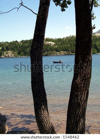 A motor boat captured between two trees at Waterton Lakes National Park