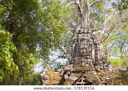 Giant tree covers the gate of Ta Som temple in Siem Reap, Cambodia