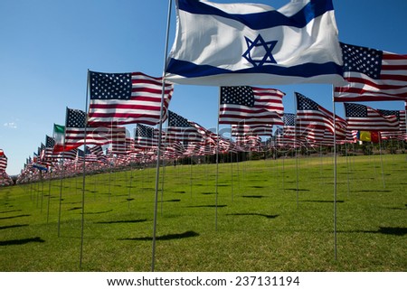 Many American and other flags in memorial