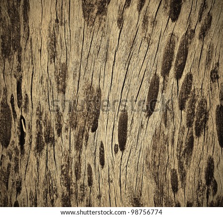 The surface pattern designed on wood for furniture