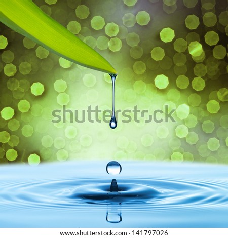 Water drop from green leaf to blue water