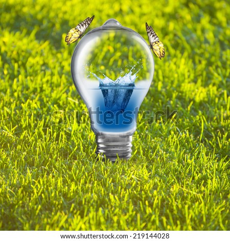 Light bulb with water inside on green grass and butterfly. Concept of Eco technology