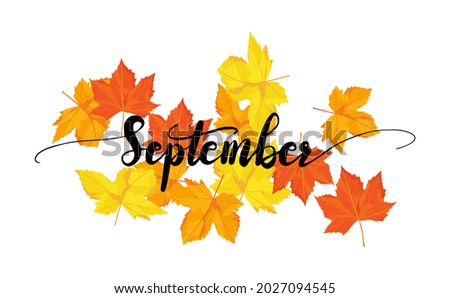 September greeting card template. Autumn leave with September lettering. Red orange and yellow leave  in autumn season in vector illustrative