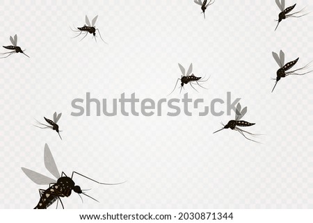 group of mosquito flying in transparent background. Realistic dengue mosquito in vector illustration. Design of graphic source for healthcare of fever that mosquito is transmitter