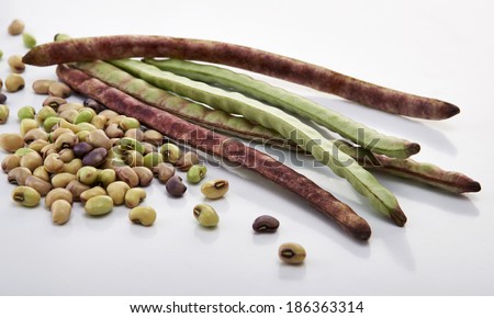 String bean in pods and grains