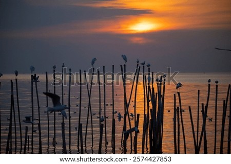 Similar – Foto Bild malerische Lichtstimmung an der Nordsee