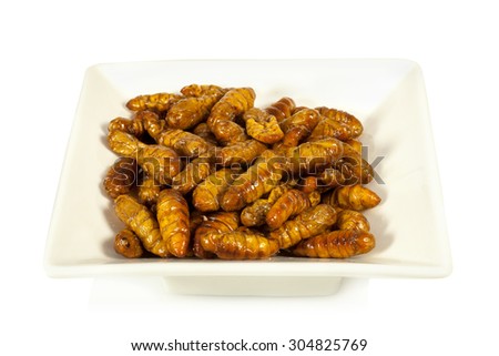 Silkworm pupae fries on white background