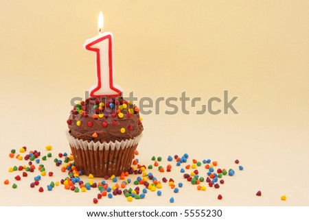 Chocolate cupcake with #1 candle, and colorful sprinkles.