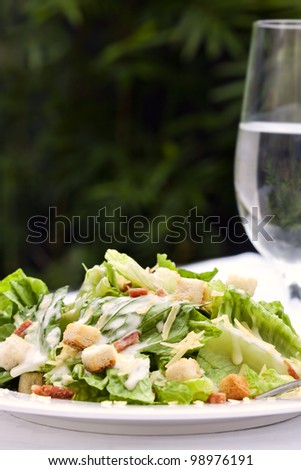 Caesar Salad, served in a garden setting.  Healthy al fresco dining.