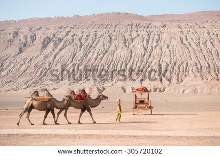 TURPAN, CHINA - AUGUST 24, 2013 :  Camels at Flaming Mountains or Gaochang Mountains are barren, eroded, red sandstone hills in Tian Shan Mountain range, Xinjiang, China.