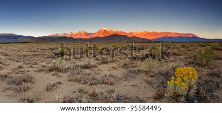 Grassy Desert Ground Below Mountain Range at Sunrise