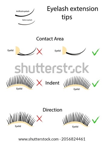 Eyelash extension guide. How to properly apply false eyelash glue. Vector illustration