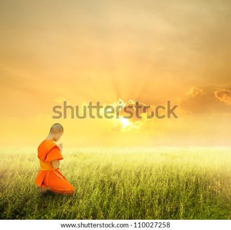 Monk pray in grass fields and sunset