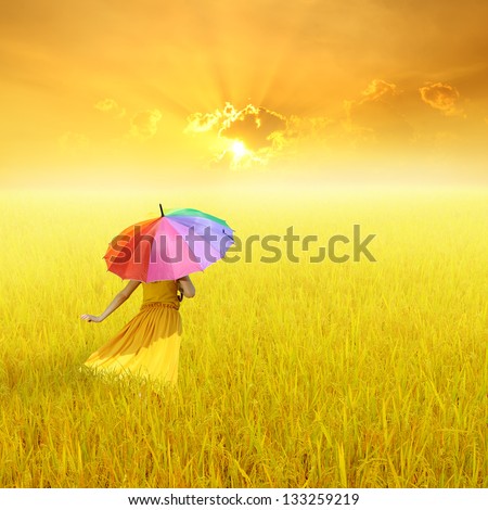 Beautiful woman holding multicolored umbrella in Yellow rice field and sunset
